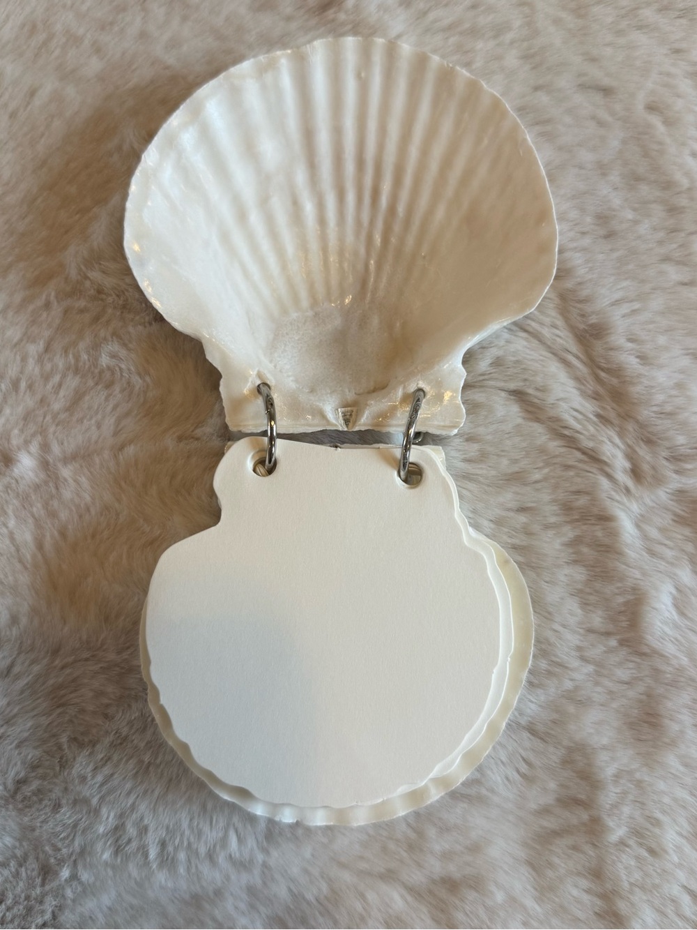 White Shell Notepad